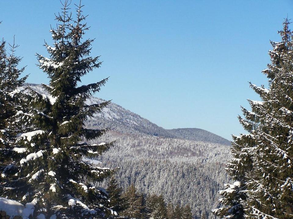 Vila U Edyho Zuberec Exteriér fotografie